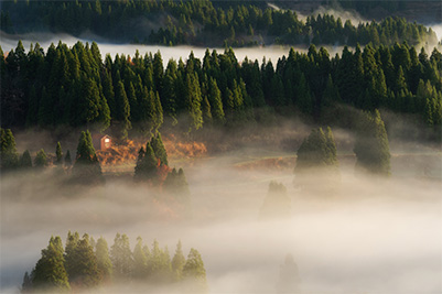 霧の写真